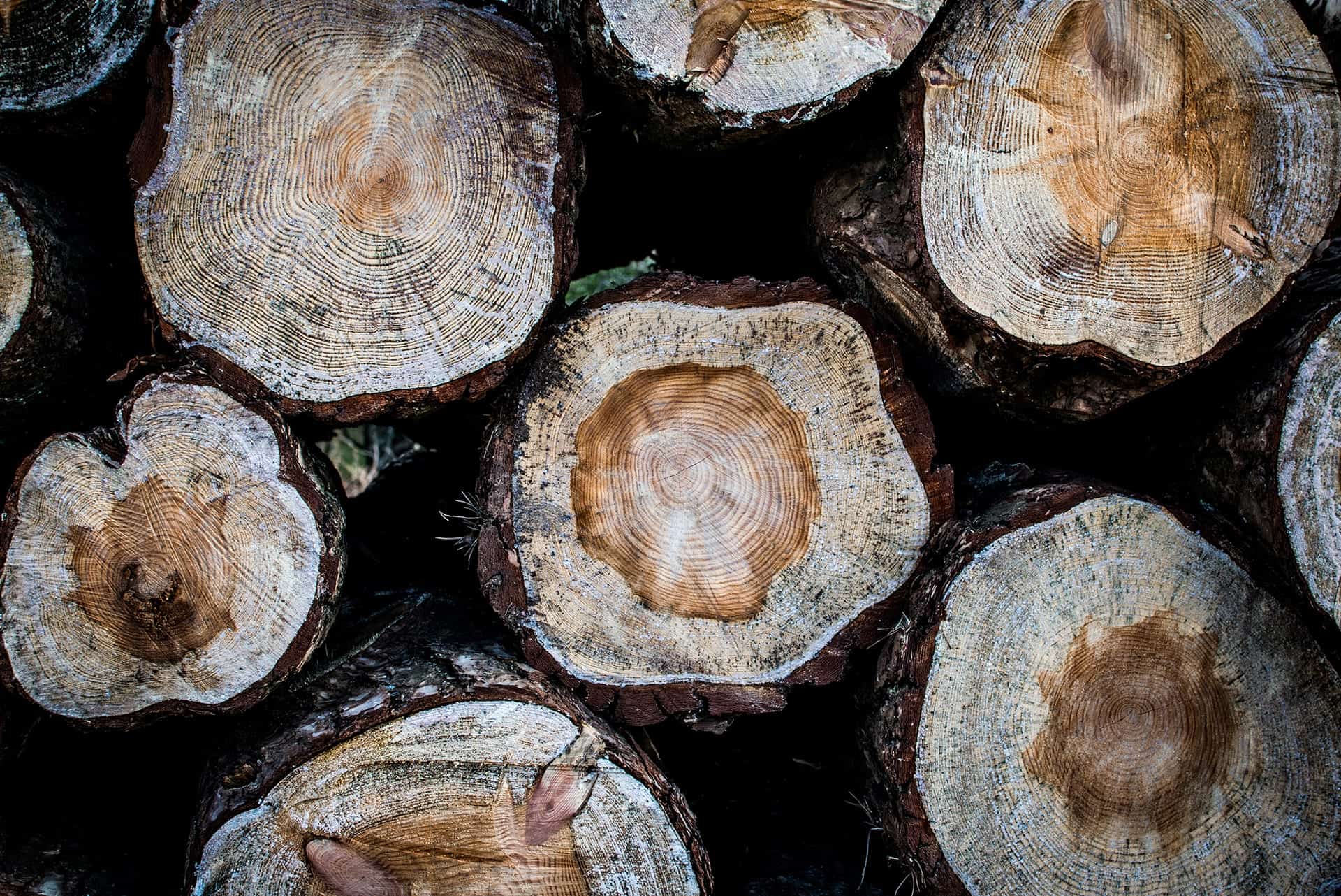 monika grabkowska s59dypi00ow unsplash